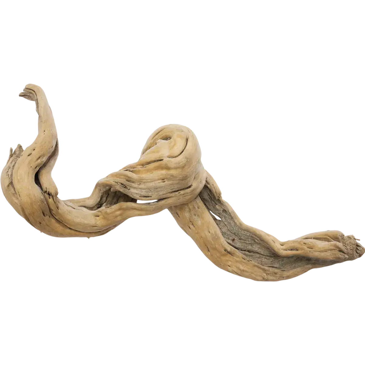 Driftwood